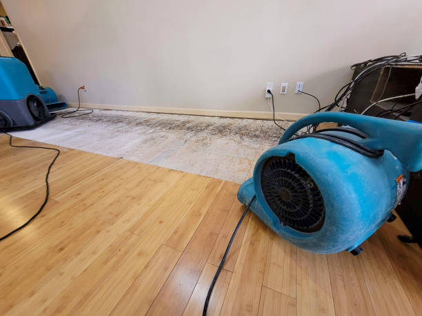 Professional Sewage Cleanup technician working in Wilmington, CA